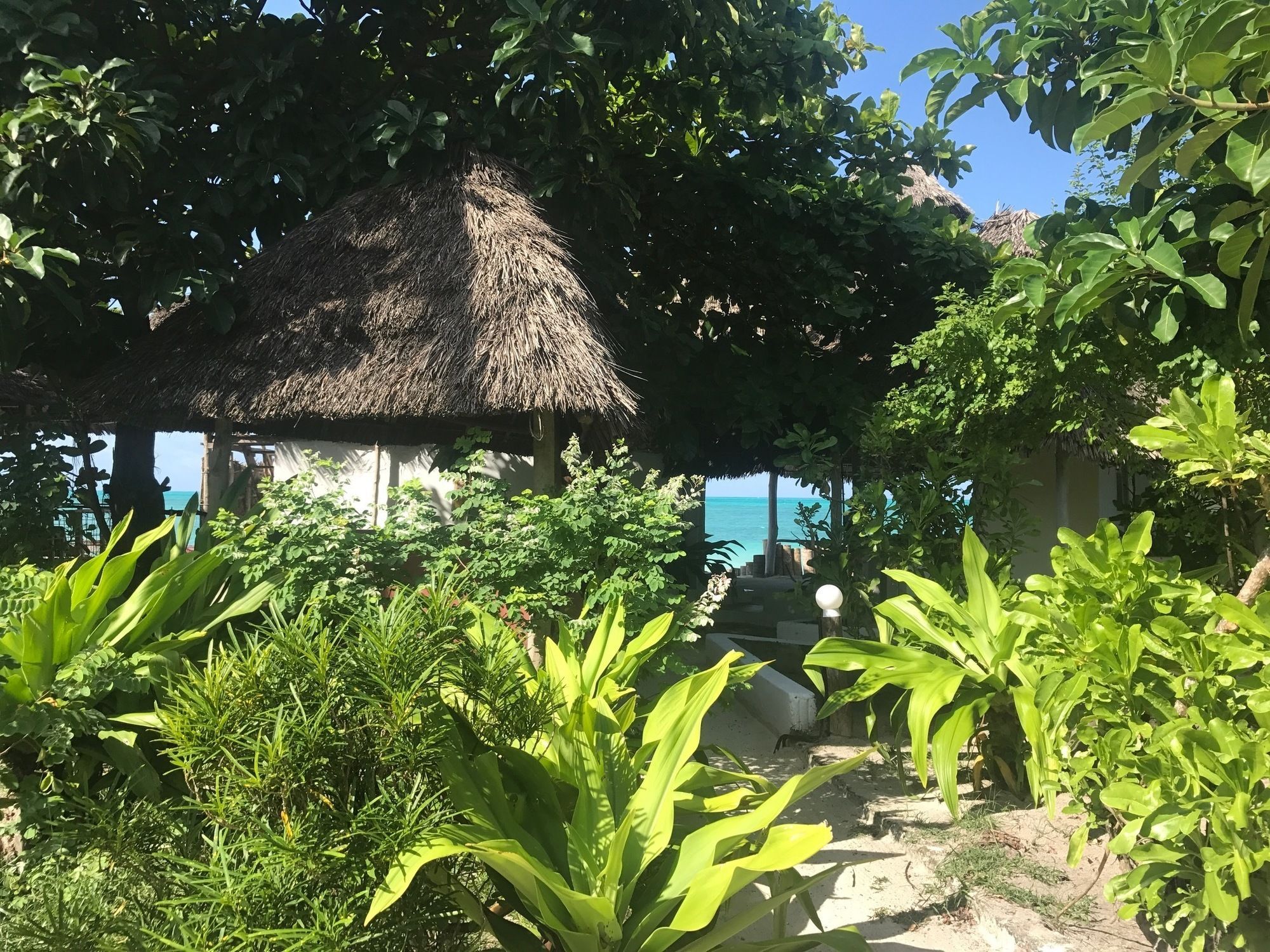 Garden Beach Bungalows 잠비아니 외부 사진